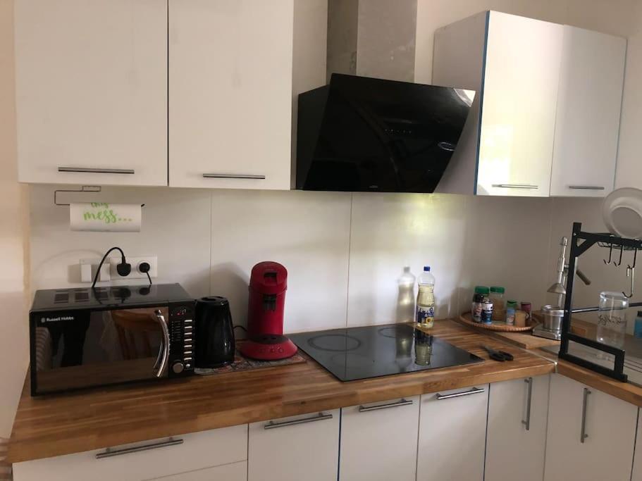 Aussonne Logement Entier Entree Autonome Ch,Sdd,Cs Privatives מראה חיצוני תמונה